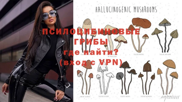 ALPHA-PVP Алексин