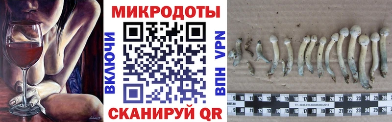 hydra как войти  Лукоянов  Псилоцибиновые грибы мицелий 